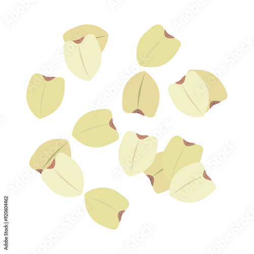 ソバの実。フラットなベクターイラスト。
Buckwheat. Flat vector illustration.