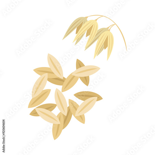 オーツ麦（燕麦）。フラットなベクターイラスト。
Oats. Flat vector illustration.