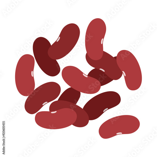 レッドキドニー（赤インゲン豆）。フラットなベクターイラスト。
Kidney beans. Flat vector illustration.