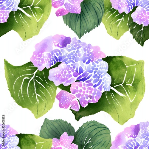 Hydrangeas 