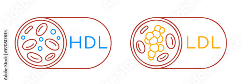 HDL good and LDL bad cholesterol icons