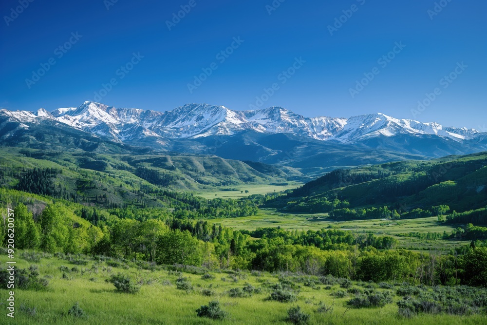 Breathtaking view of a lush green valley, with snow capped mountains towering in the background, creating a picturesque scene Breathtaking view of a lush green valley, with snow capped mountains towering in the background, creating a picturesque scene