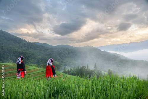 Bild auf Leinwand Ethnic Red Dao women standing in rice terraces in the Hoang Su Phi district of H