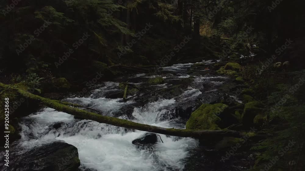 Pristine waters of Panther Creek flowing through Gifford-Pinchot National Forest in Washington State, static clip.