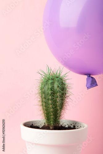 Purple balloon and cactus on pink background