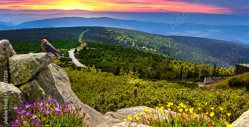 Fototapeta Naklejka Na Ścianę i Meble -  Beautiful mountain landscape of Karkonosze in summer at sunset. Karkonosze.