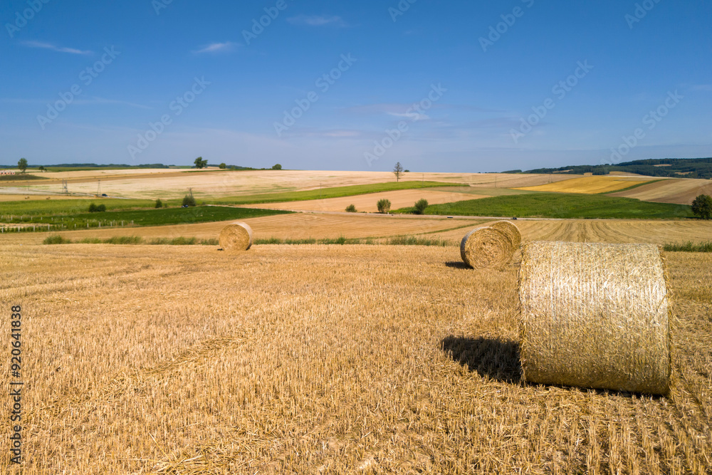 Fototapeta premium Yellow golden straw bales of hay in the stubble field. Hay bales on agriculture field after harvest on a sunny summer day