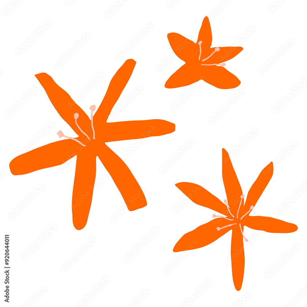 Jasmine png red flower doodle illustration Jasmine png red flower doodle illustration