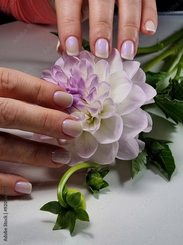 Fototapeta premium The beauty of the natural nails. Perfect clean manicure. New trendy nail arts on young women hand
