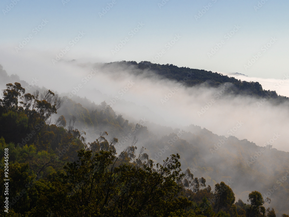 Fototapeta premium fog in the mountains