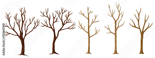 Photos Horror tree png cut out element set