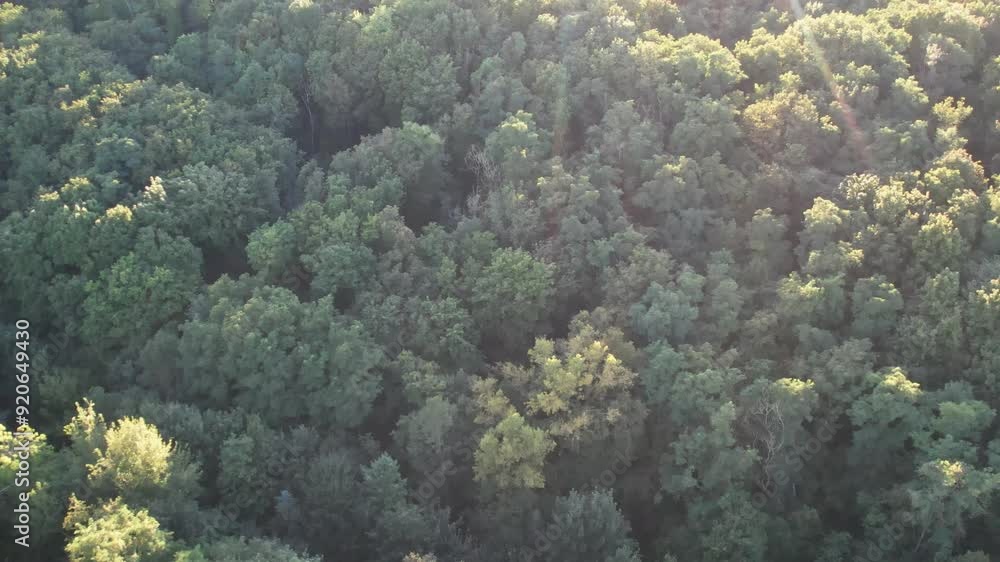 drone aerial view of Teufelsberg radio station in Grunewald district of Berlin drone aerial view of Teufelsberg radio station in Grunewald district of Berlin