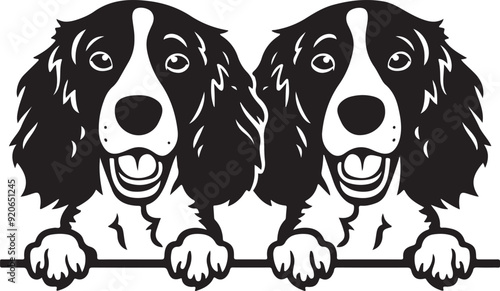 English Springer Spaniel Dog Peeking Stylized Vector
