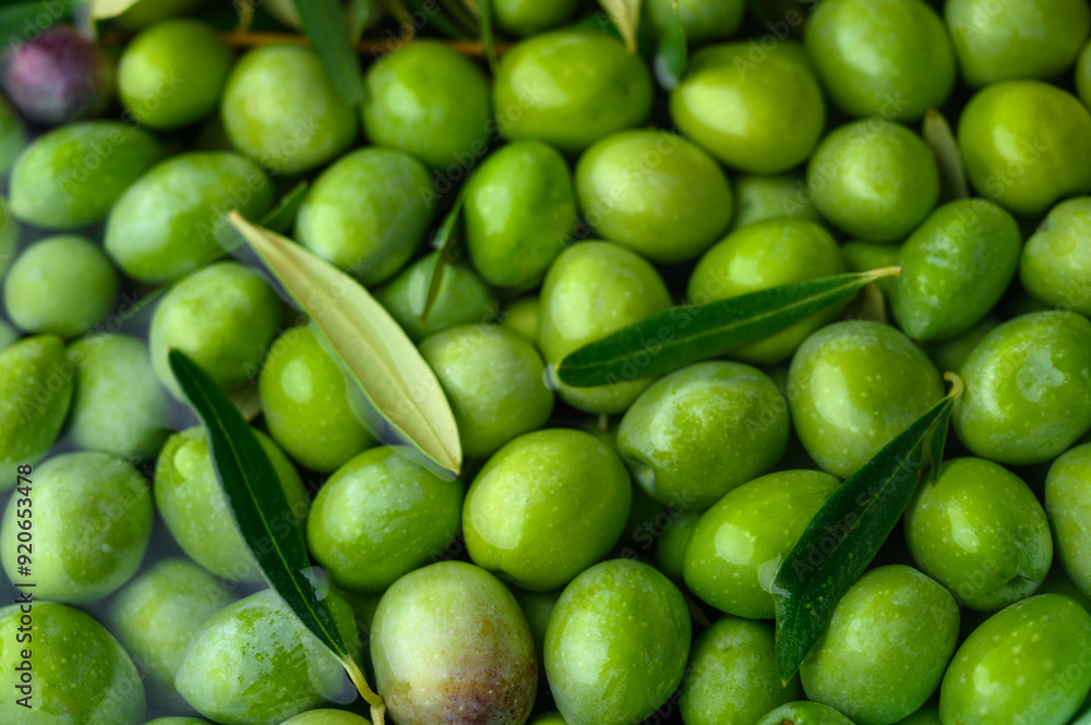 Green olives background full frame banner Green olives background full frame banner