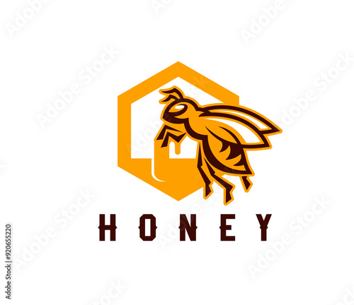 Honey icon with bee and honeycomb cell for beekeeping and apiary products, vector emblem. Beekeeper farm and apiary honey food label with honeybee in geometric honeycomb icon for food package tag