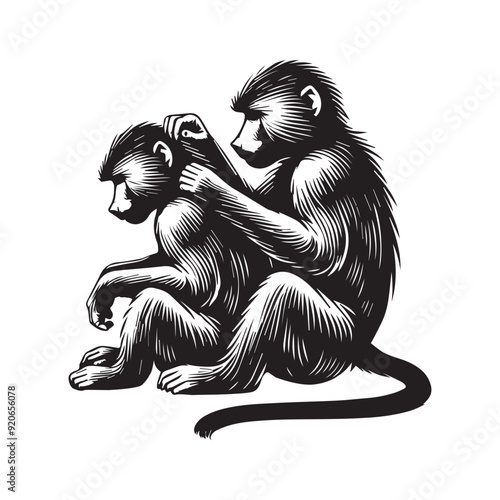 Baboon silhouette, Baboon clipart, Two baboons sitting close together Vector Illustration in black and white