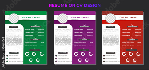 Resume and CV design template.