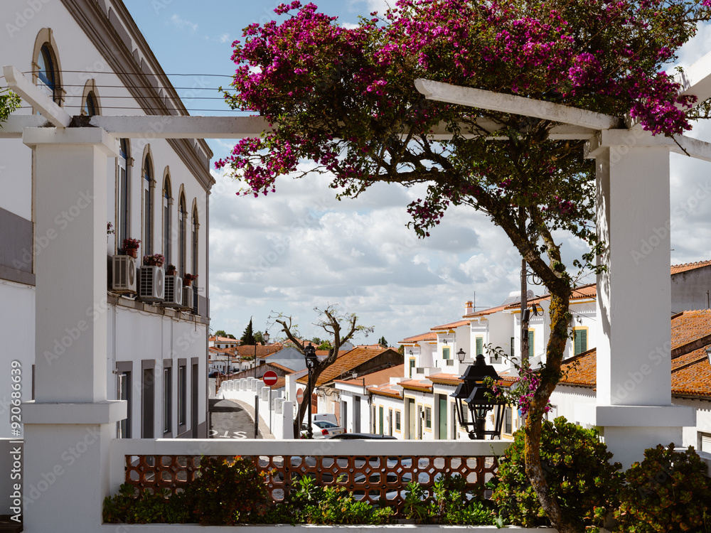 Street and flowers in Castro Verde, Beja, Alentejo, Portugal