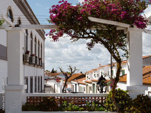 Obraz na płótnie Street and flowers in Castro Verde, Beja, Alentejo, Portugal w salonie
