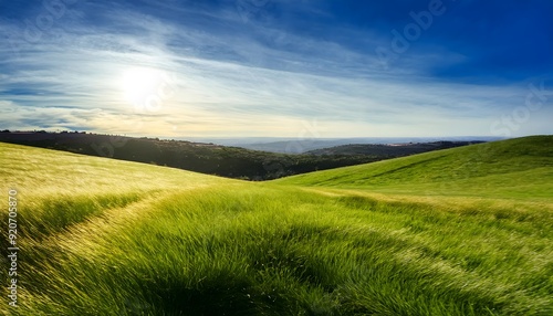 Fototapeta Naklejka Na Ścianę i Meble -  Sunset over the field