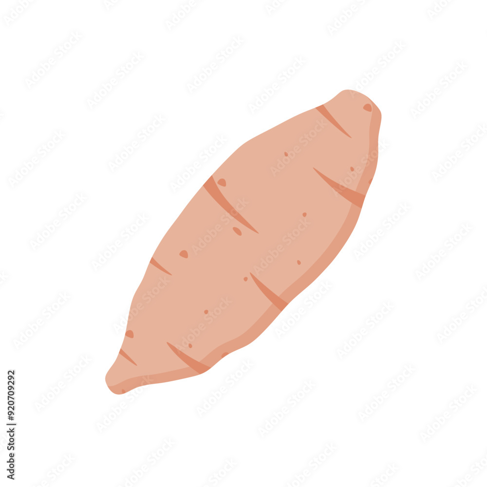 sweet potato flat design vector illustration isolated on white background. Natural organic cooking ingredient for restaurant, food recipe or healthy eating concept. healthy vegan natural food sweet potato flat design vector illustration isolated on white background. Natural organic cooking ingredient for restaurant, food recipe or healthy eating concept. healthy vegan natural food