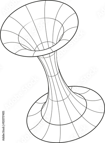 Wireframe Torus