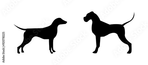 Dog vector silhouette on black colour photo