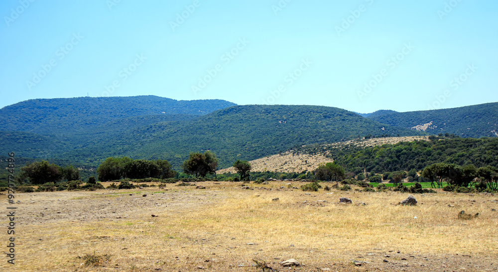 Obraz premium landscape with mountains