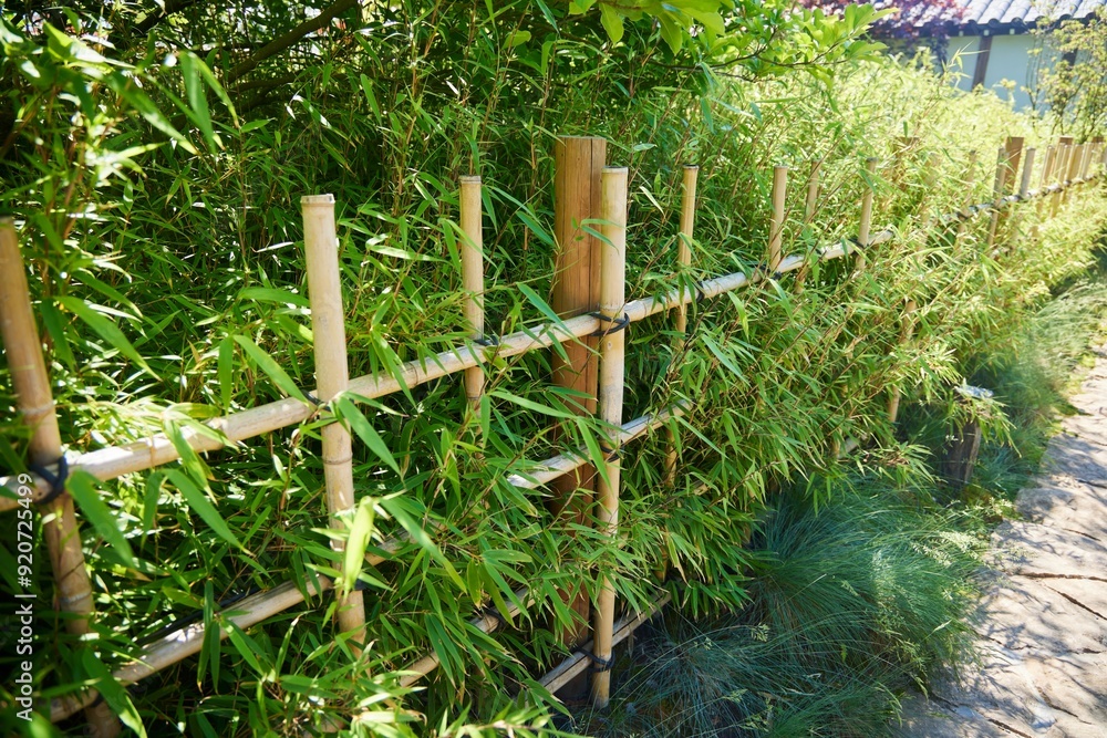 Japanese Garden Corner. Plants and paths in the park Japanese Garden Corner. Plants and paths in the park
