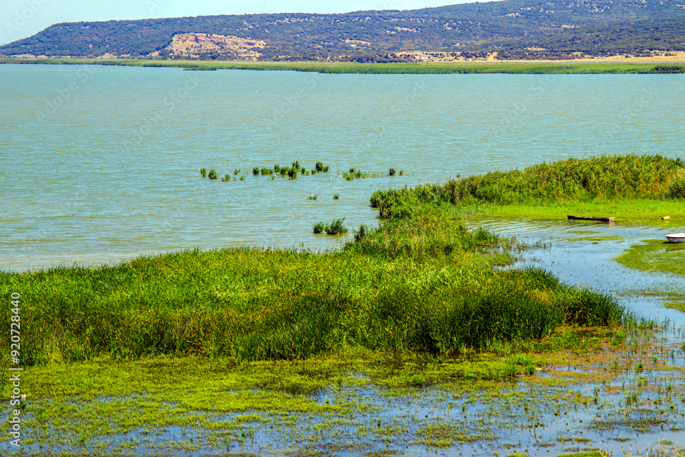 banks of gala lake ainos (ezine) edirne banks of gala lake ainos (ezine) edirne