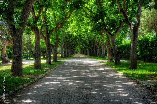 Tunnel-like lime tree avenue in spring, fresh green foliage. Beautiful simple AI generated image in 4K, unique. photo