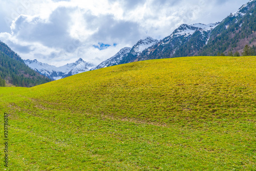 Spring in the Alps - mountains, field, wood, cloudy sky, March 27, 2024.