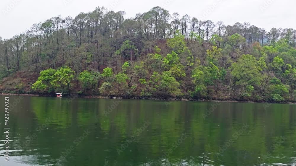 Forest on hill seen from Bhimtal Lake Forest on hill seen from Bhimtal Lake