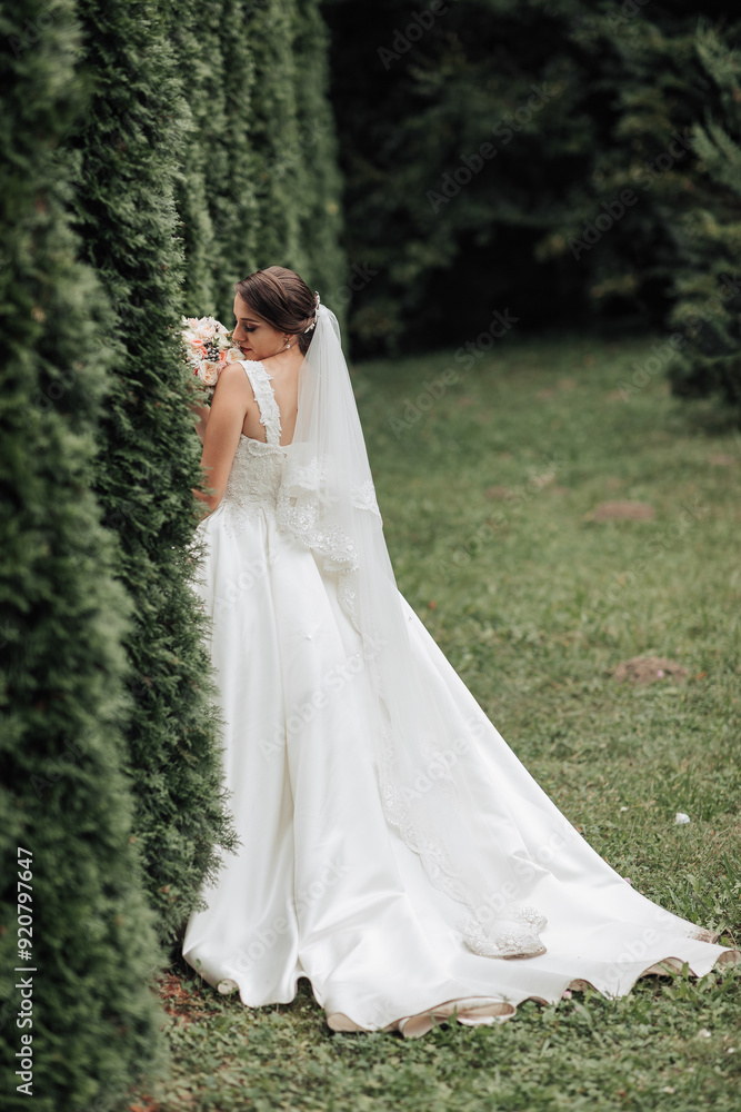 A bride is standing in a field with a white dress and a veil. She is holding a bouquet of flowers A bride is standing in a field with a white dress and a veil. She is holding a bouquet of flowers