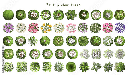 Trees for architectural floor plans. Entourage design. Various trees, bushes, and shrubs, top view for the landscape design plan. Vector illustration.