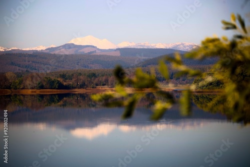 Background con una rama desenfocada, con la vista de la Cordillera de los Andes y el macizo del Volcán Chillán desde Coihueco photo