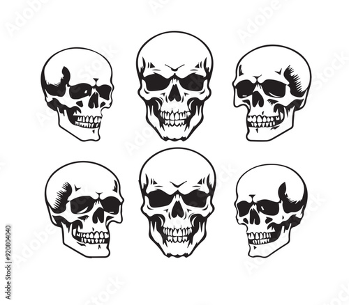 Silhouette Illustration of a human skull Vector
