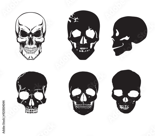 Silhouette Illustration of a human skull Vector
