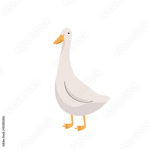 Cute gray goose, character on white background