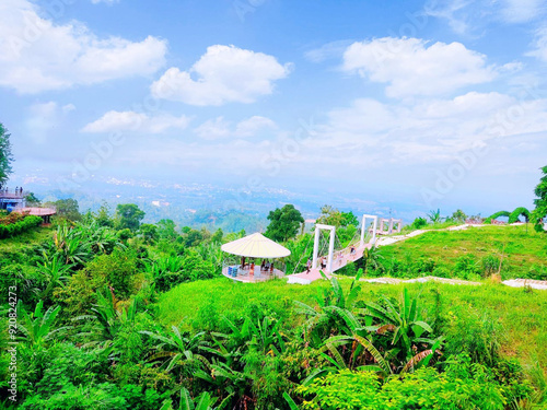 A natural view on the hill photo