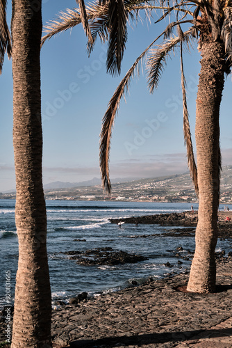 Due palme che incorniciano la costa che scende nell'oceano.