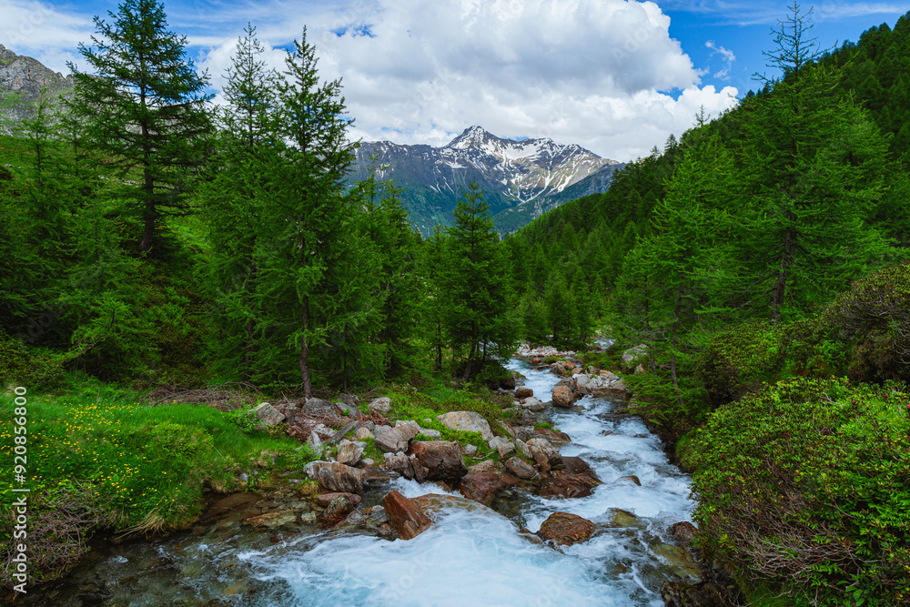 Obraz premium the view of spluga valley and its mountains from the small town of Olmo, near Chiavenna, Italy - 20 June 2024
