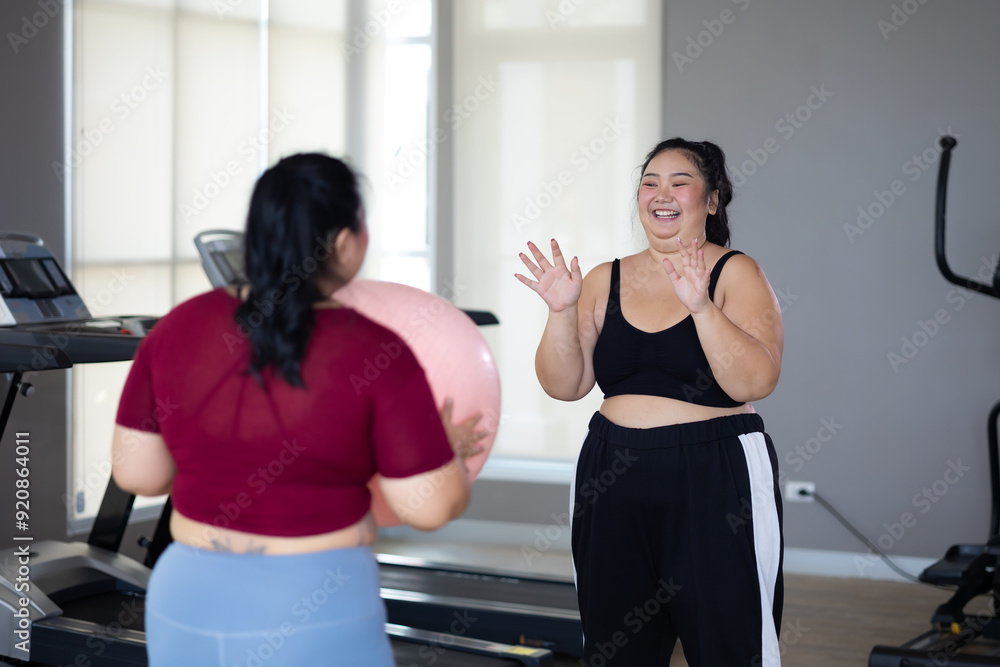 gymnastic ball. beautiful young chubby overweight woman in sportswear doing exercise indoors at gym fitness sport club, body and health care gymnastic ball. beautiful young chubby overweight woman in sportswear doing exercise indoors at gym fitness sport club, body and health care