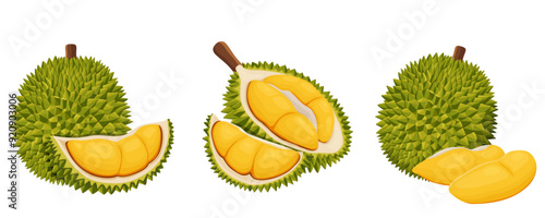 durian isolated on white background