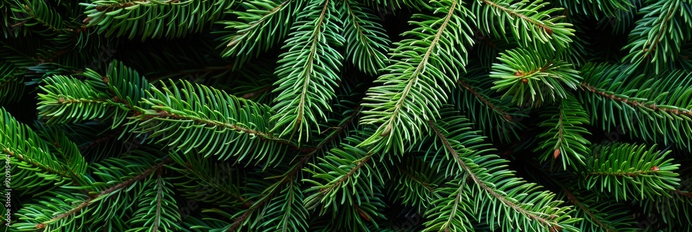 This is a detailed and closeup view of lush green pine branches, meticulously showcasing their vibrant, soft needles along with their unique and natural texture that truly captivates the eye This is a detailed and closeup view of lush green pine branches, meticulously showcasing their vibrant, soft needles along with their unique and natural texture that truly captivates the eye
