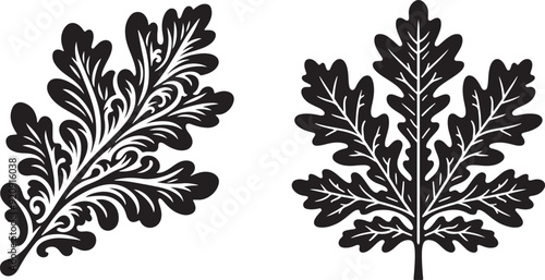 leaf silhouette vector art illustration