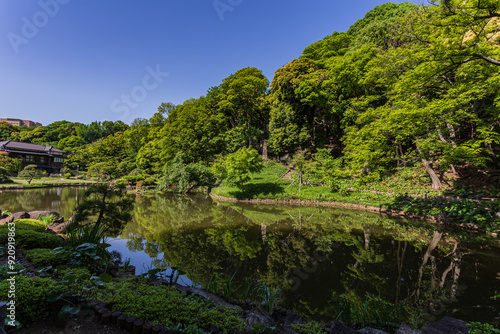 肥後細川庭園2024夏