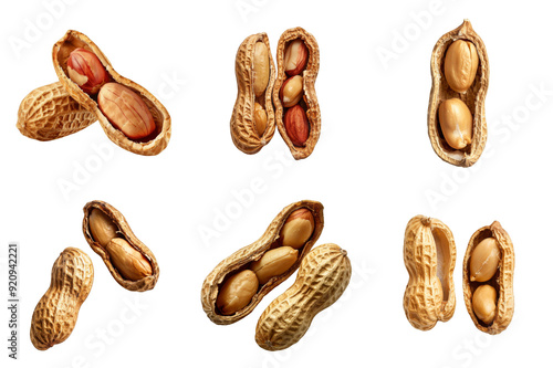 A Collection of Shelled and Unshelled Peanuts photo