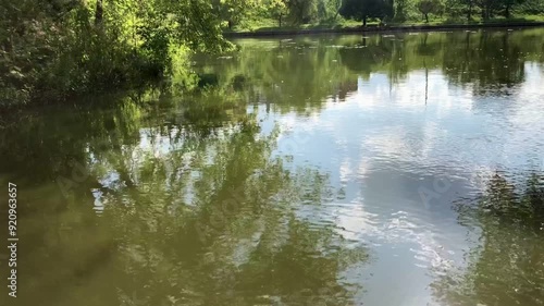 river bank with muddy green water