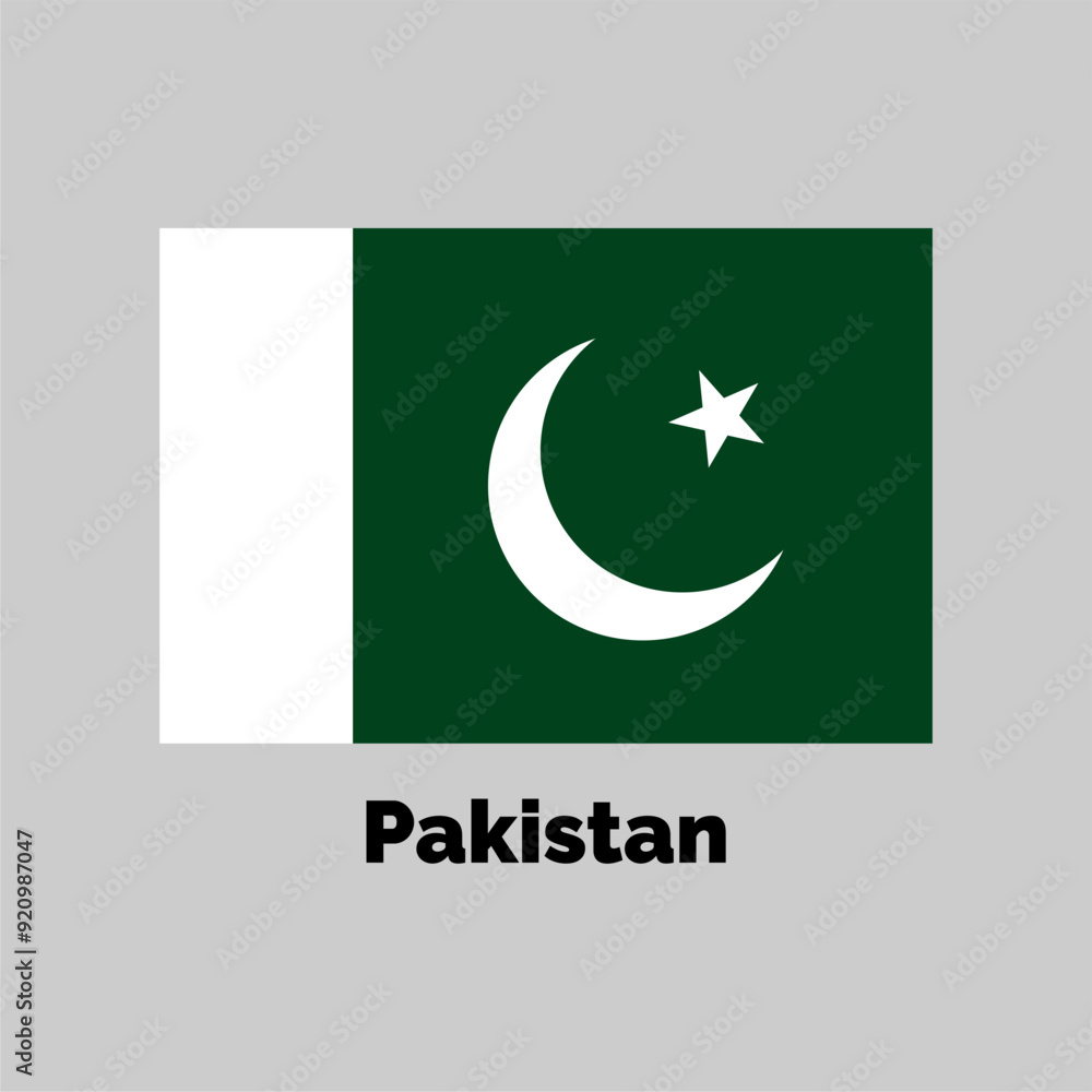 Pakistan flag design vector illustration on a gray background for graphic and web design. Pakistan flag design vector illustration on a gray background for graphic and web design.